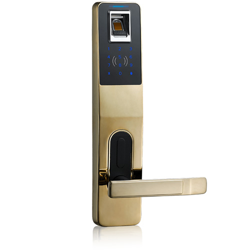 RZM-818指紋感應(yīng)密碼鎖